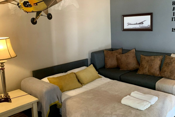 Piper cub Family2